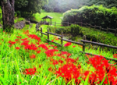 시정소식지_2017년 가을