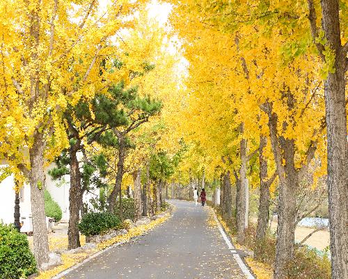 시정소식지 2018년 가을호